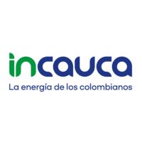 Logo incauca_PW